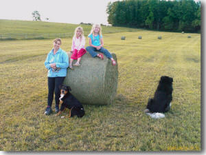 Heuballen und Co.