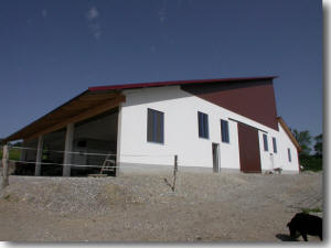 Longierhalle mit Pultdach