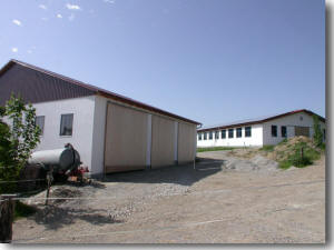 Lagerhalle und Reithalle