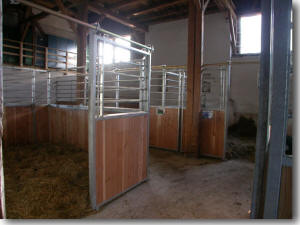 Pferdestall mit Boxen