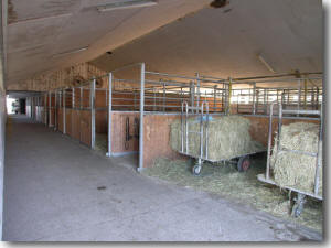 gro�er Pferdestall