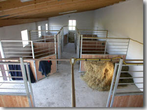 Pferdeboxen im neuen Stall