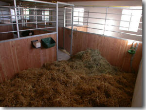 gro�z�gige Pferdeboxen