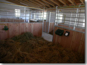 grossz�gige Pferdeboxen