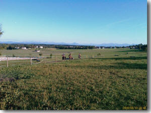 Ausritt auf den Weiden und Wiesen vom Pferdehof